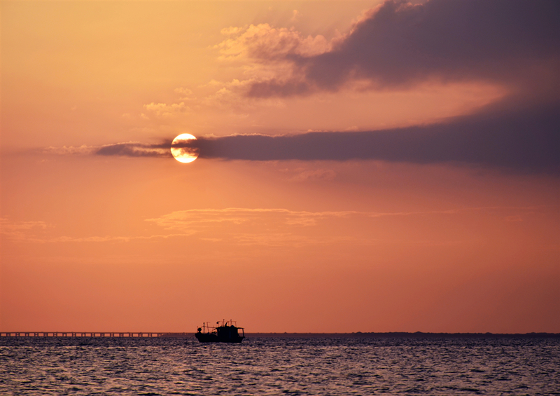张媛媛 海上日落_副本.jpg