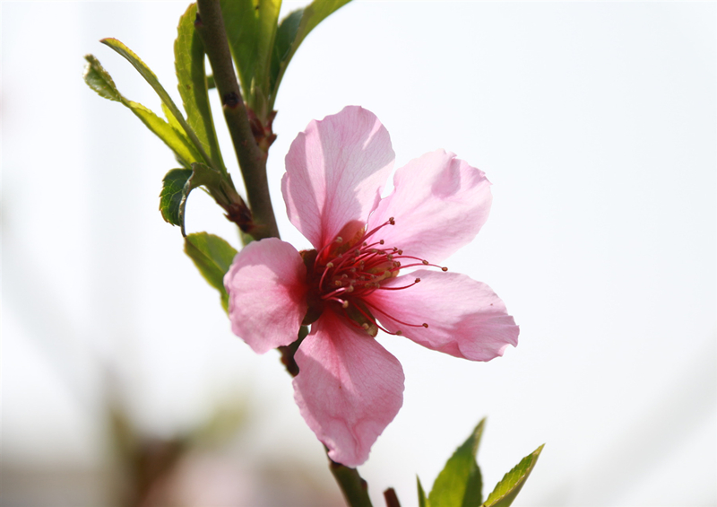 赵林东  张扬_副本.jpg